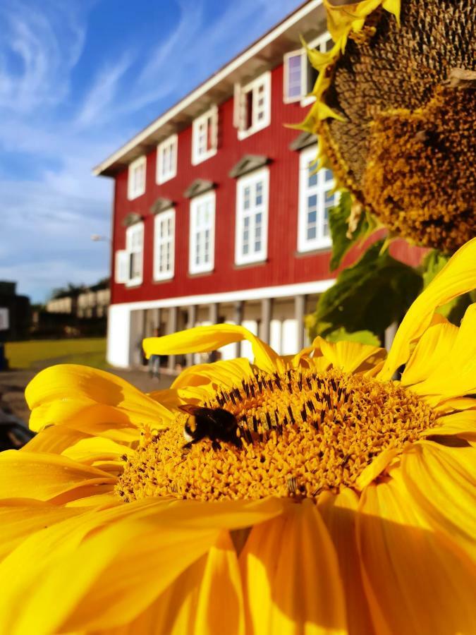 Hostel Ronningen Oslo